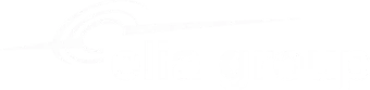 Elia Group