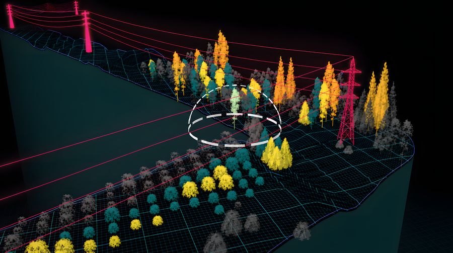 Vegetation risk mapped in 3D under the transmission line