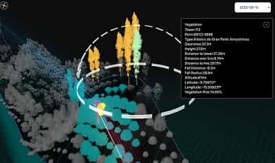 One tree selected in the three-dimensional model, with its record open: species, height, clearance to the conductor, distance to the tower, fall distance and the resulting vegetation risk
