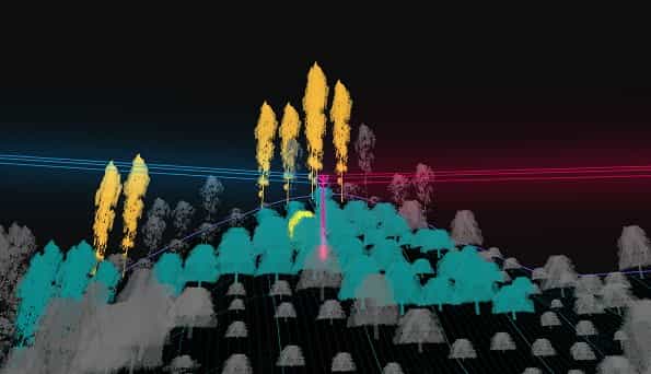 A span of the corridor in three dimensions: conductors above the meshed ground and every tree coloured by the clearance it leaves, the tallest ones reaching toward the line